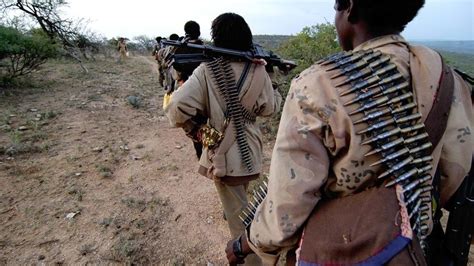 La Guerre de l’Ogaden: Un conflit territorial et une lutte pour la libération en Afrique de l'Est